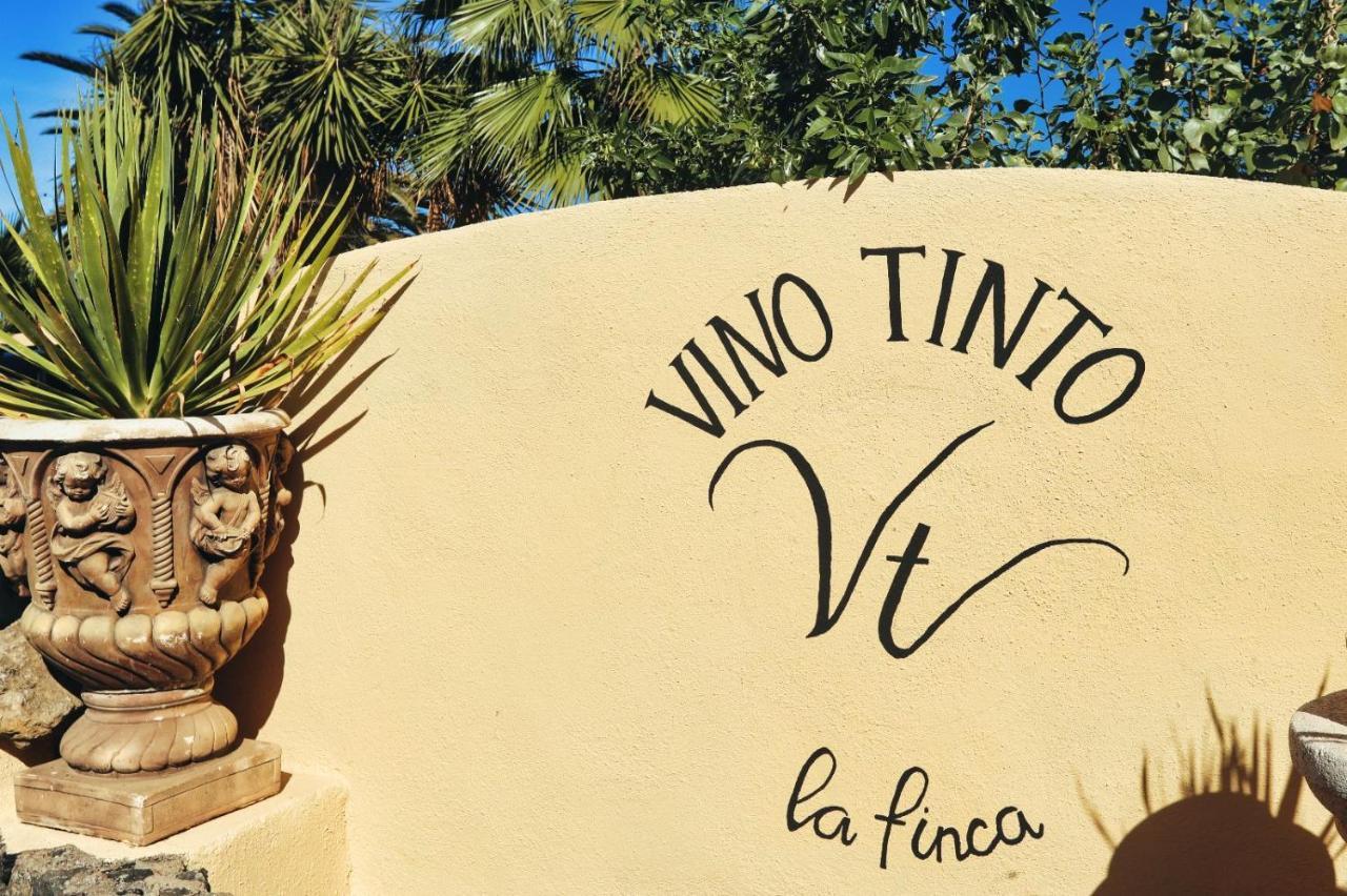 Finca Vino Tinto 2 Icod De Los Vinos Exteriör bild